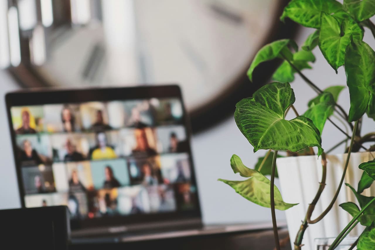 An indistinct group video call appears on a laptop behind a green plant.